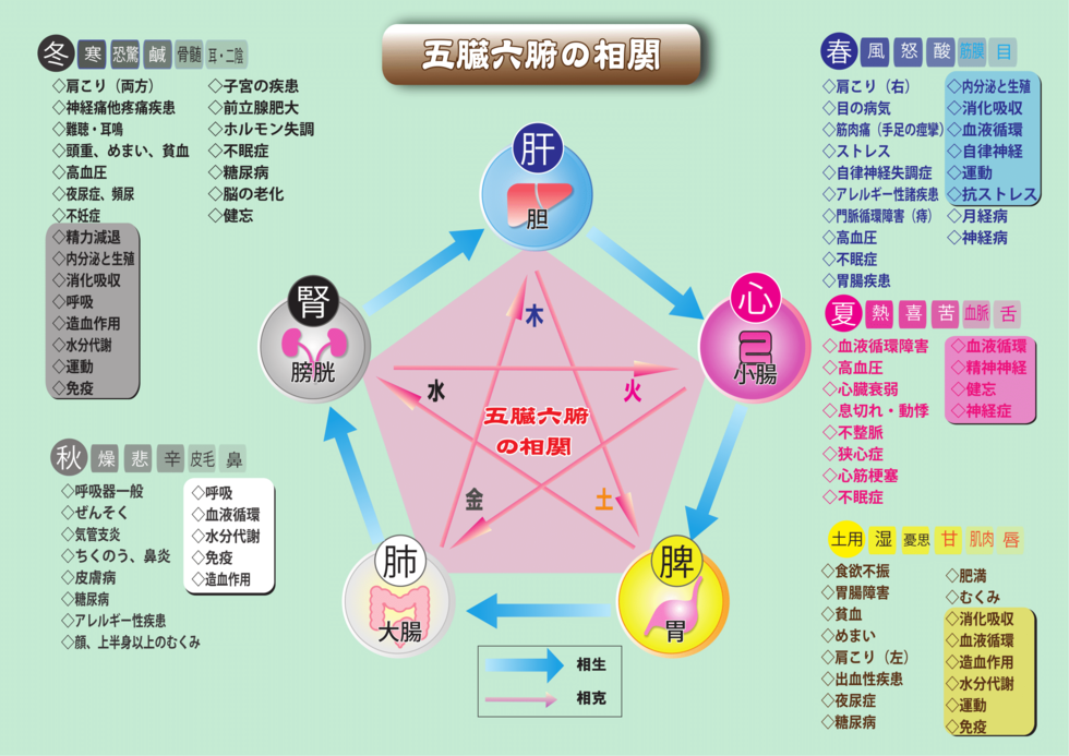 の 意味 六腑 五臓