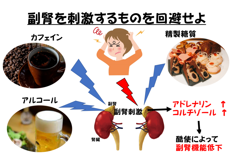 疲労、免疫力、炎症に！副腎と腸を元気にする！【しん健堂　ラクトファイバーＢ】